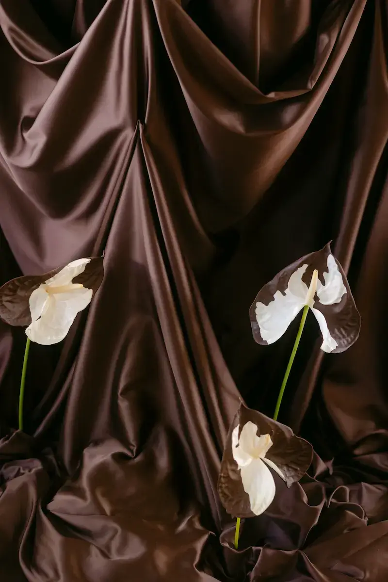Sinnliche Ästhetik – visuelles Statement für moderne Florist:innen Weiße Anthurien vor dramatischem braunen Satin – künstlerisches Arrangement für Hochzeitsfloristik & Editorials